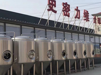 金昌精酿啤酒设备厂—市场规模与跨界新需求